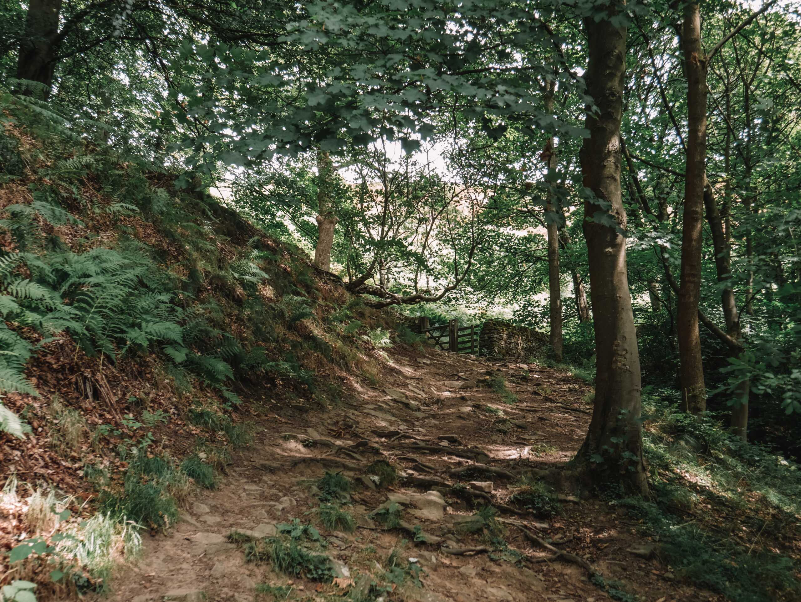 Peak District