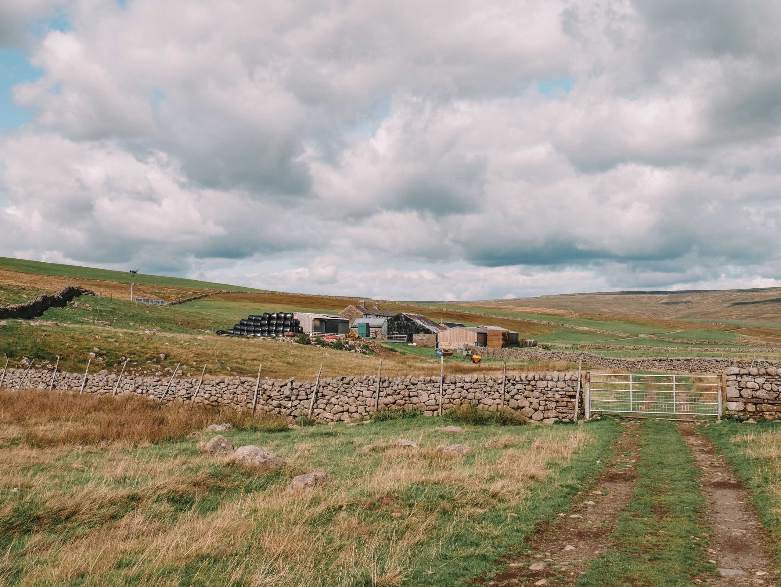 countryside