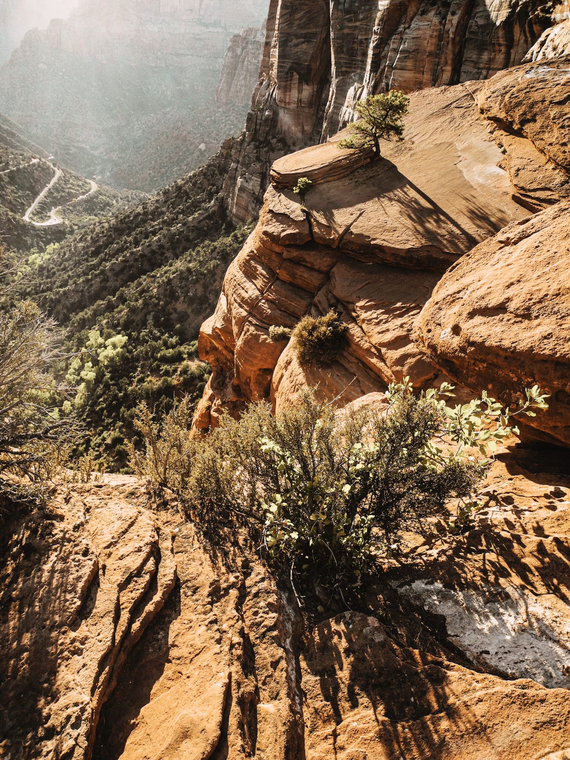 Zion