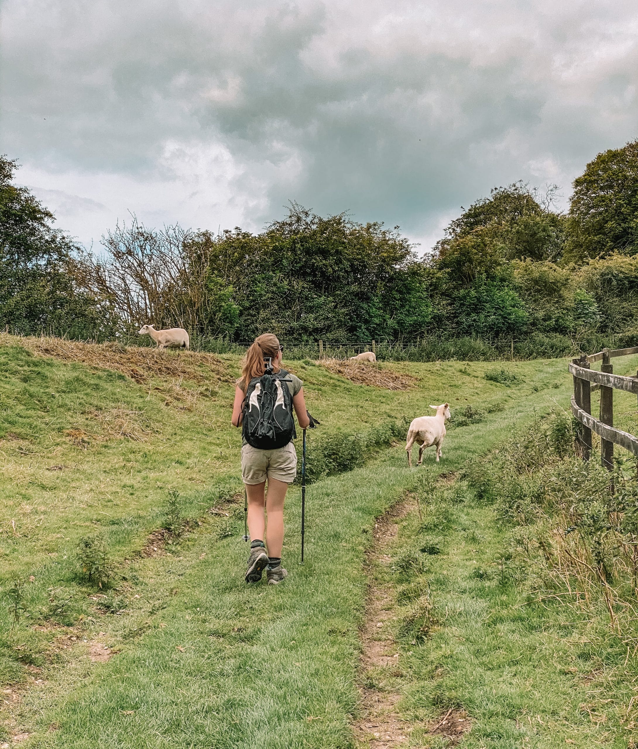 Thixendale Walk, Yorkshire