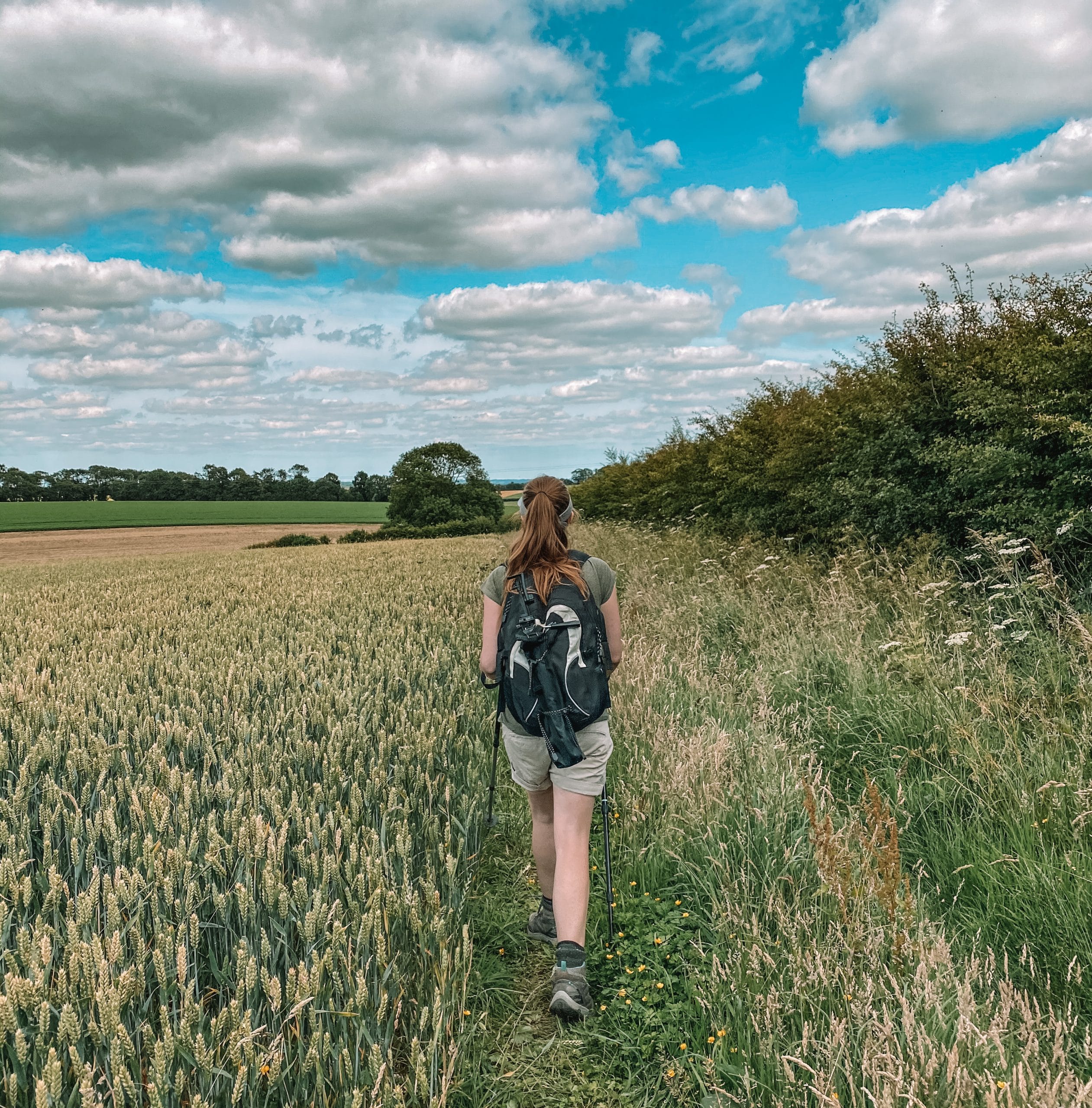 Thixendale Walk, Yorkshire