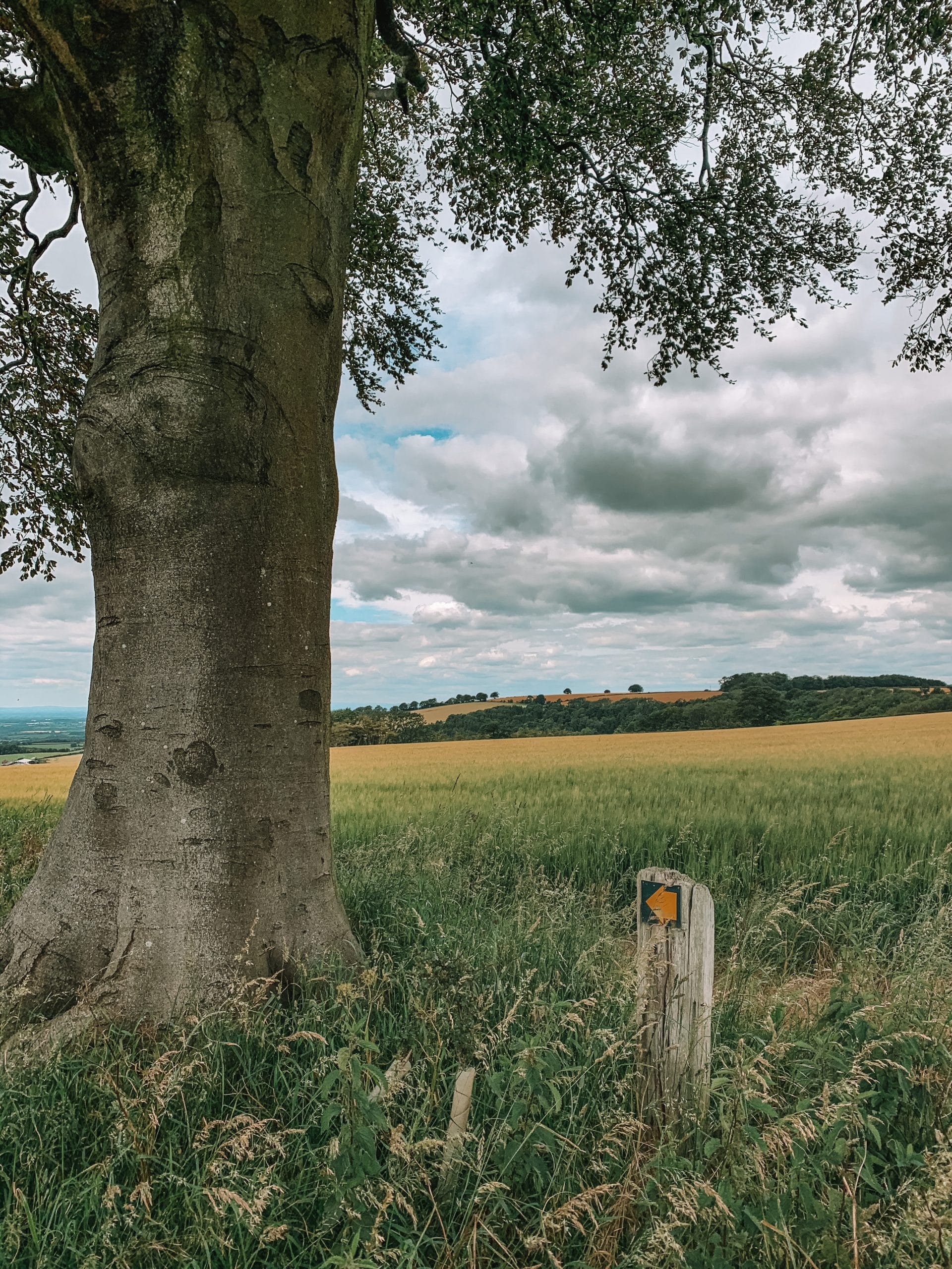 Thixendale Walk, Yorkshire