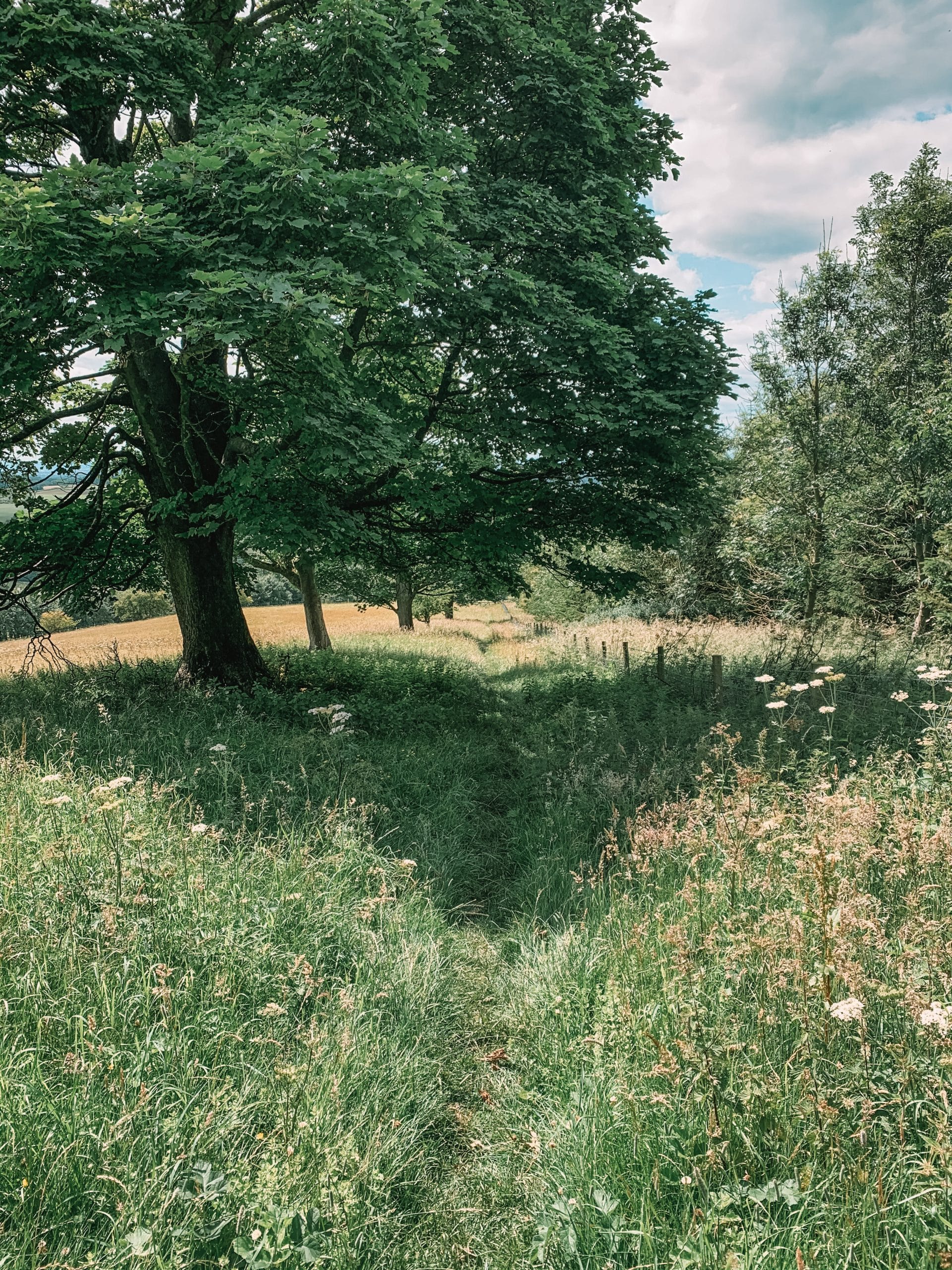 Thixendale Walk, Yorkshire