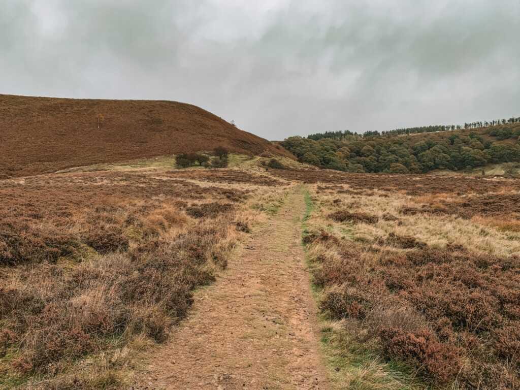 North Yorkshire Moors