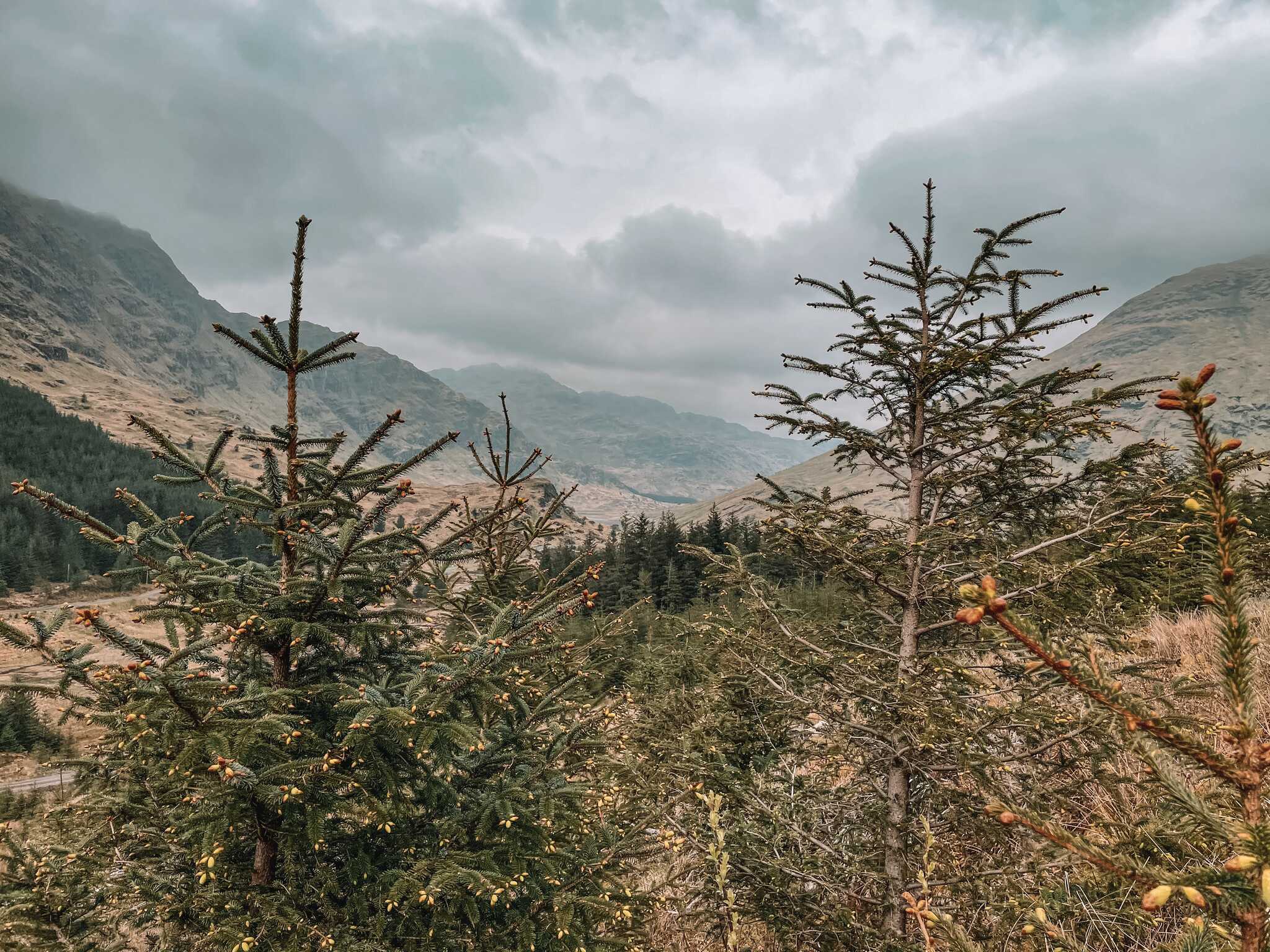 mountains