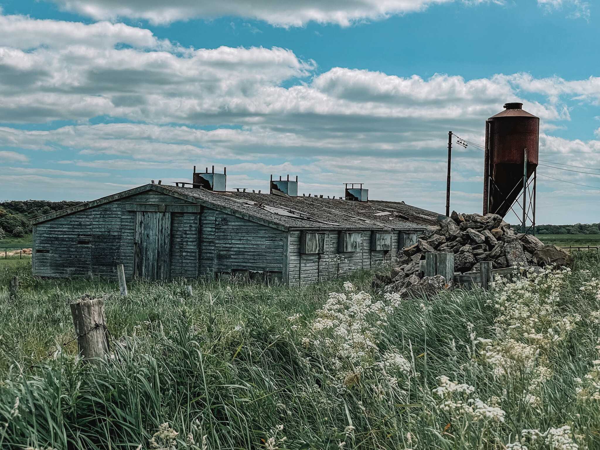countryside
