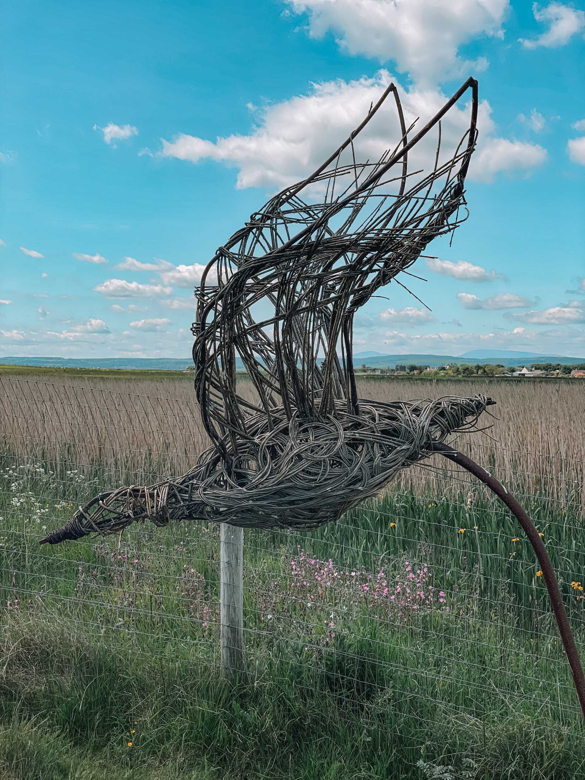 Holy Island