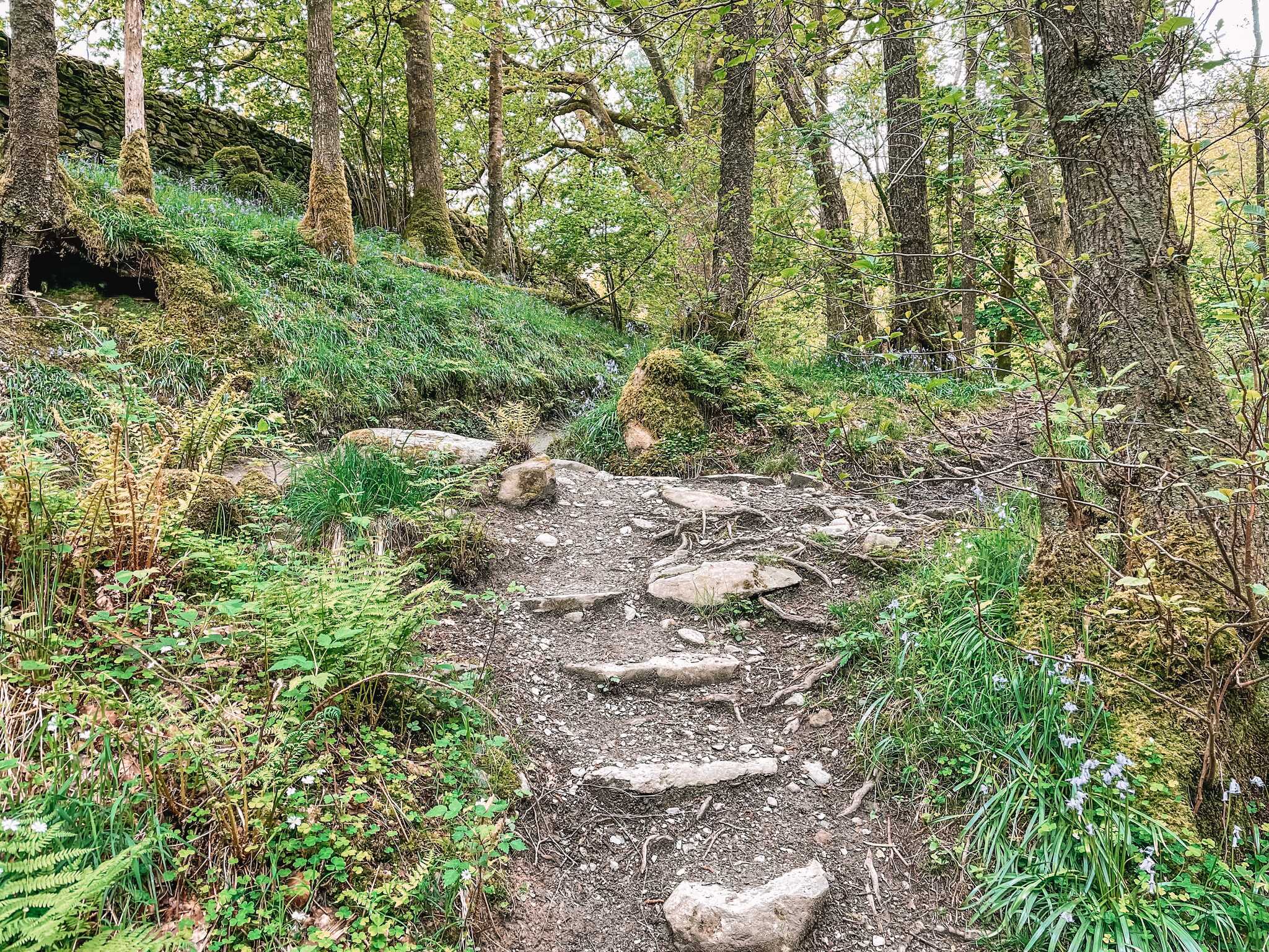 Lake District