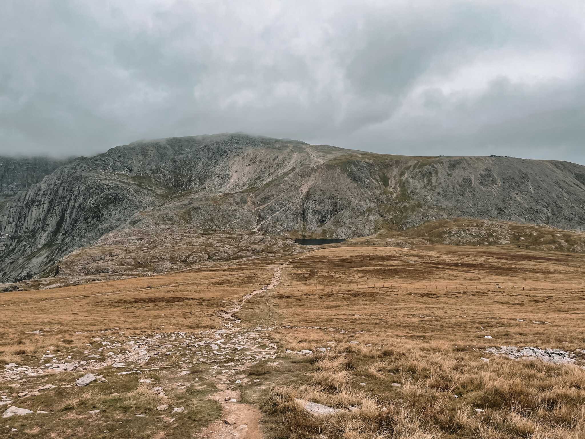 Y Garn