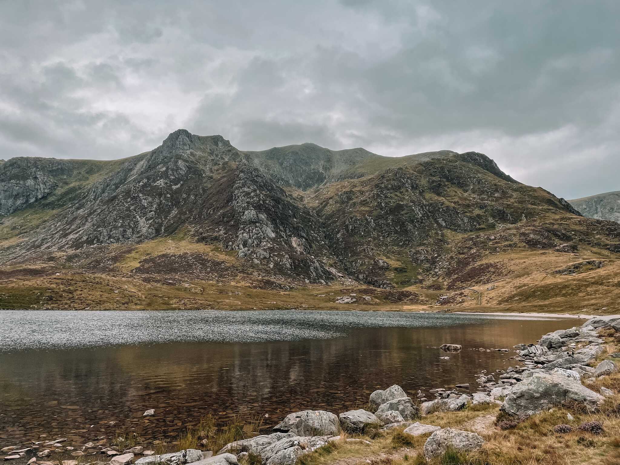 Y Garn