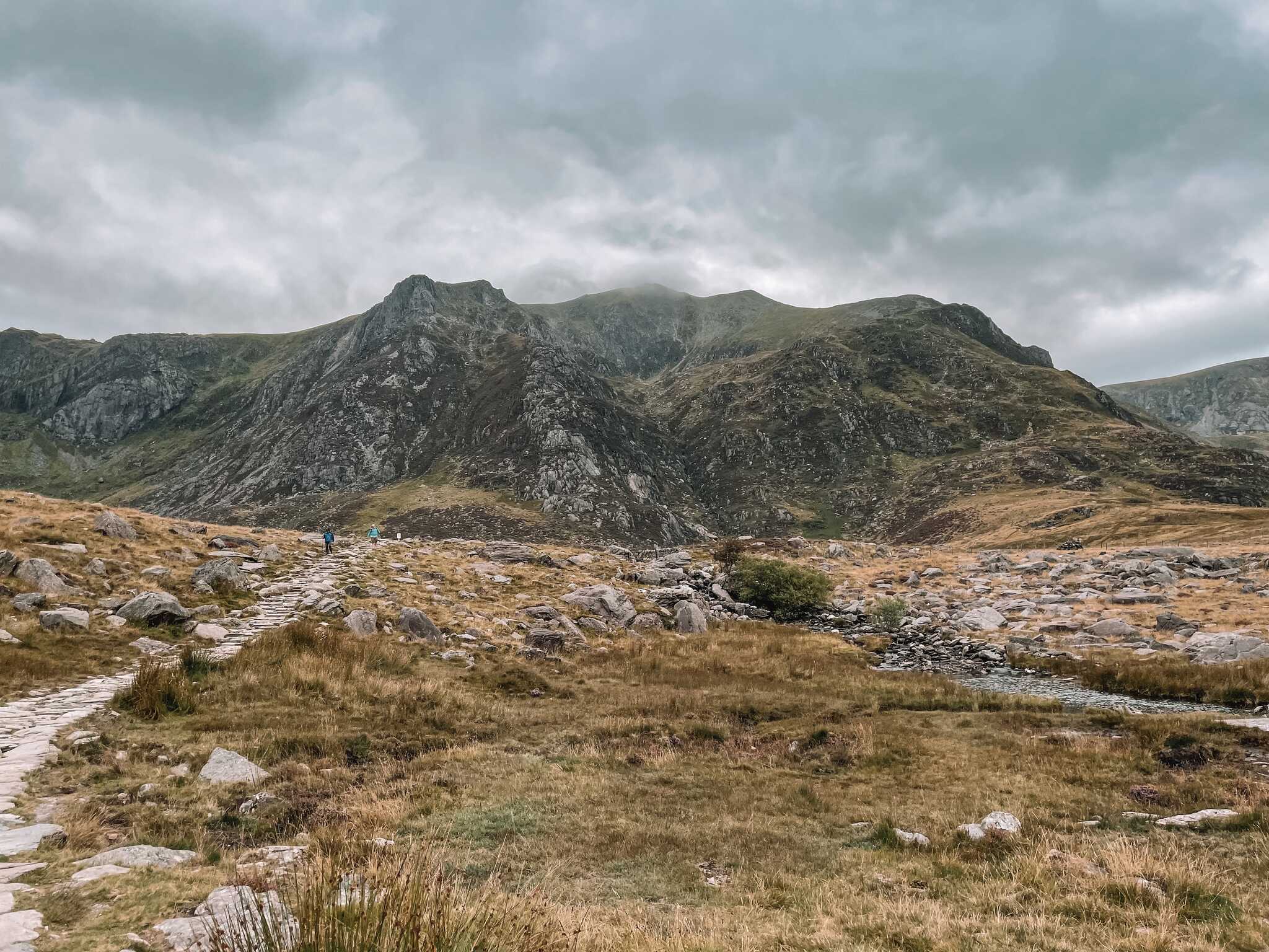 Y Garn