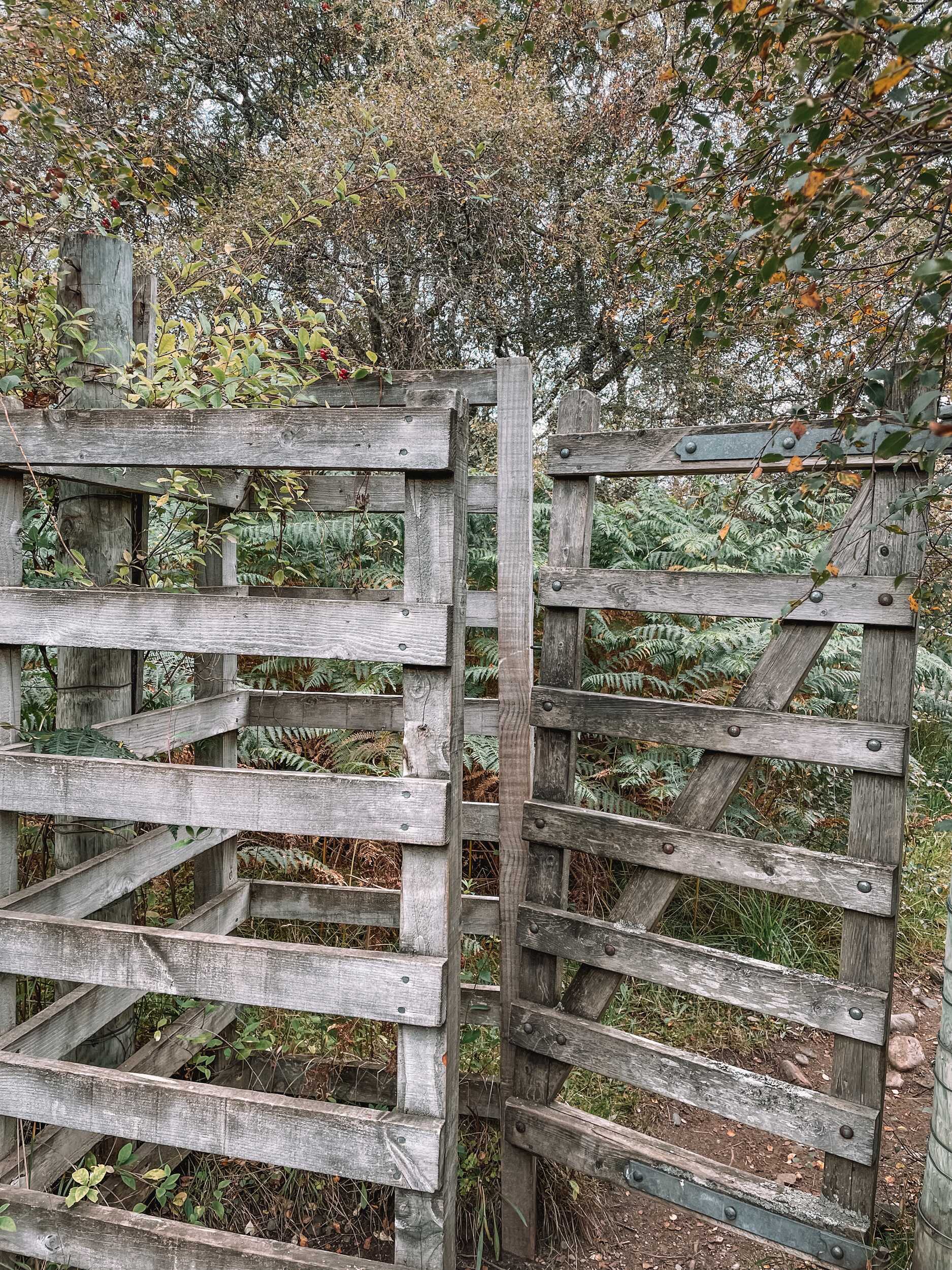 gate