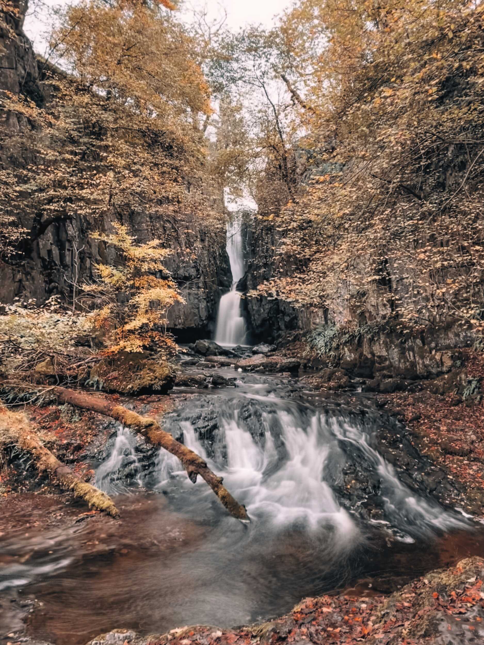 Catrigg Force