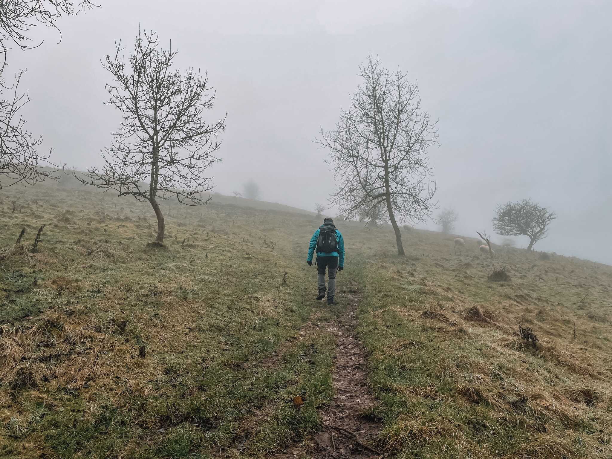 Monsal Trail, Peak District