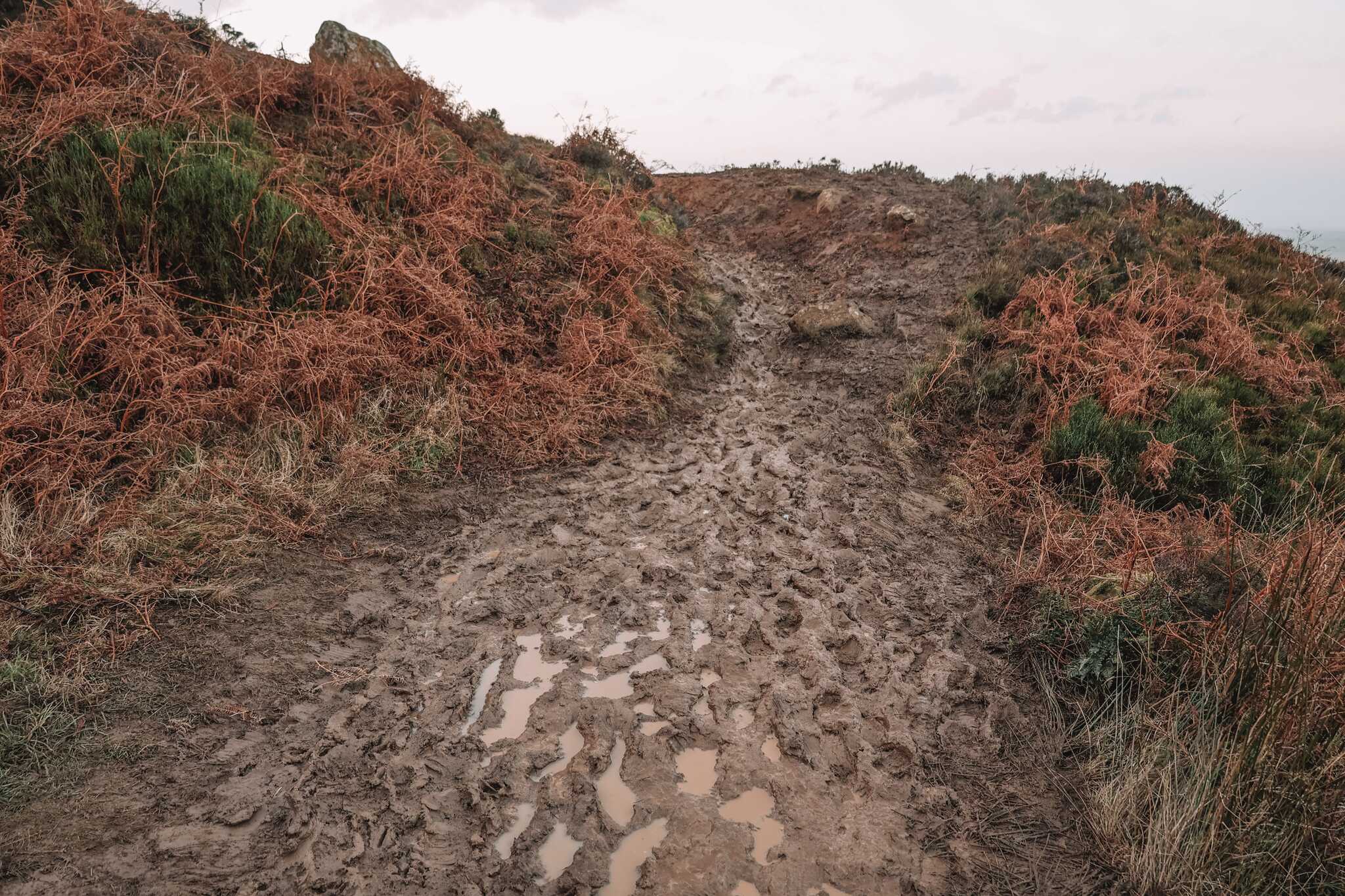 North Yorkshire Moors
