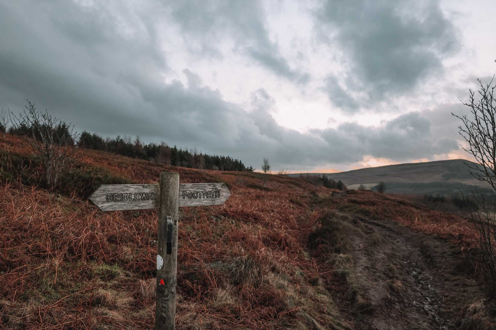 North Yorkshire Moors