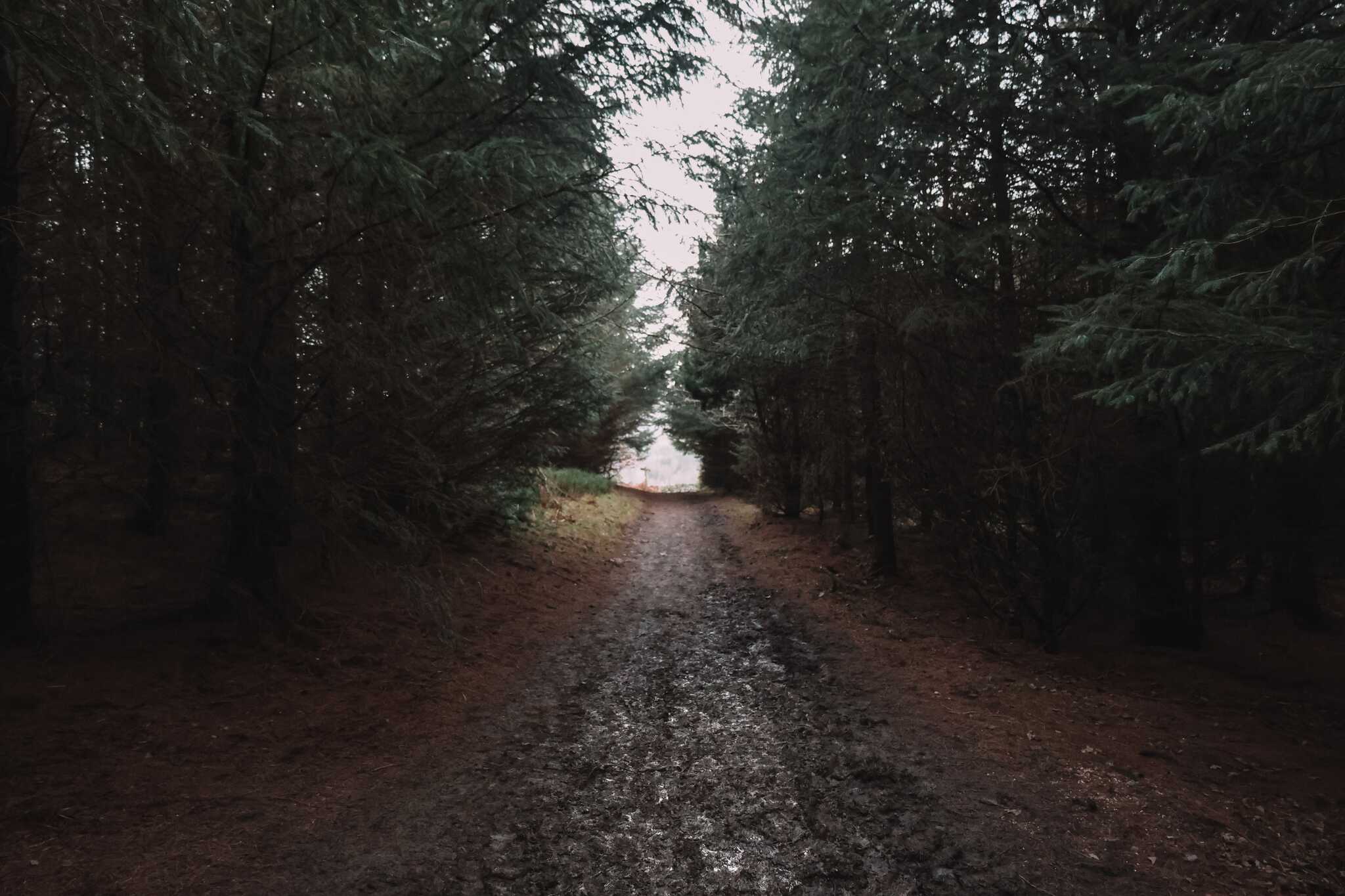 North Yorkshire Moors