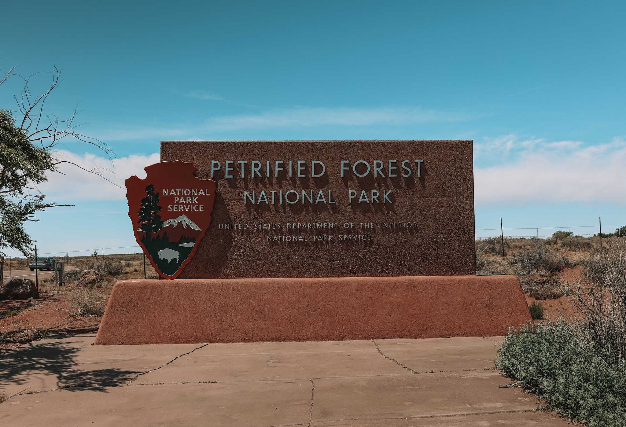 Petrified Forest, Arizona
