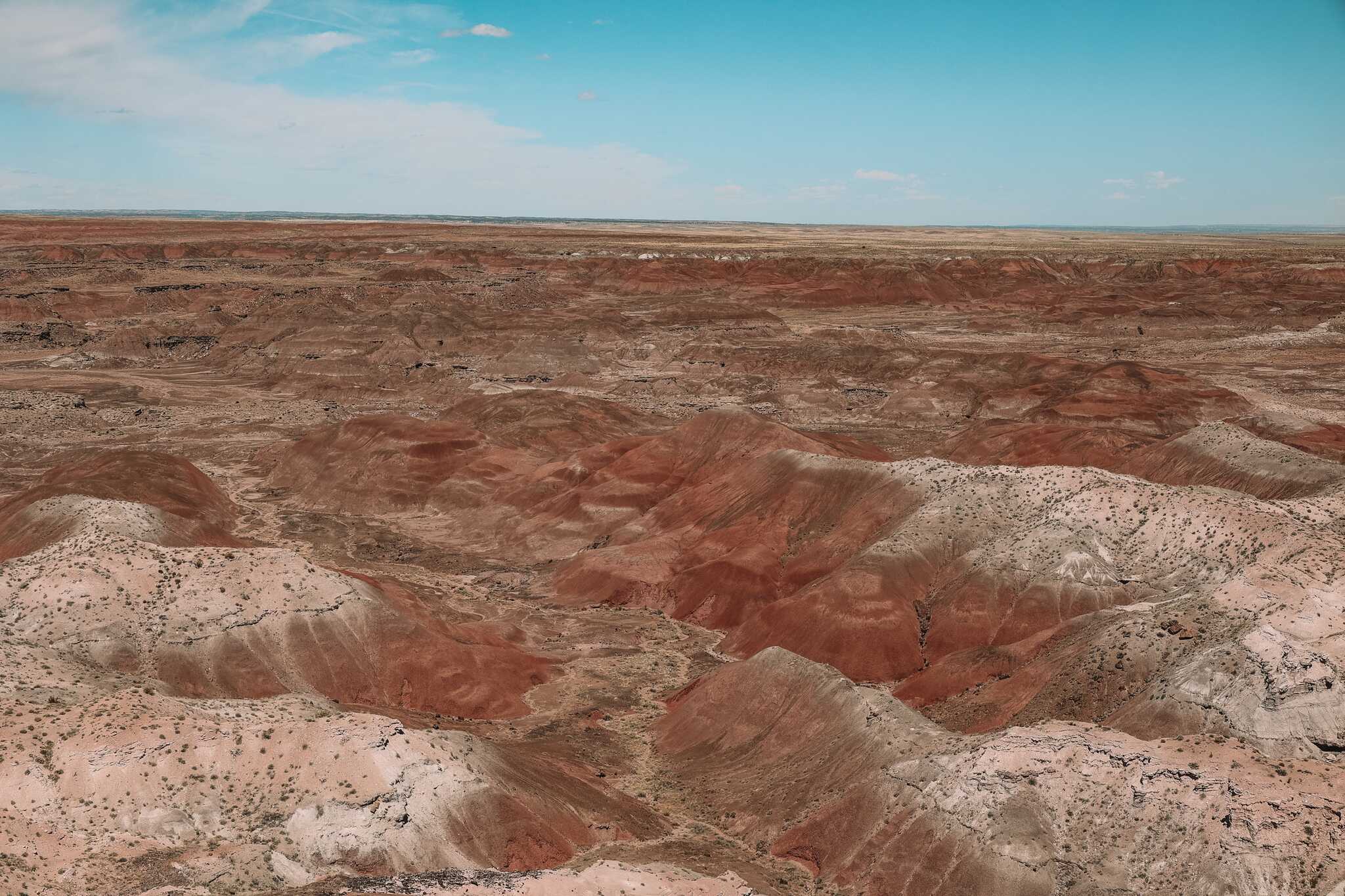 Petrified Forest, Arizona