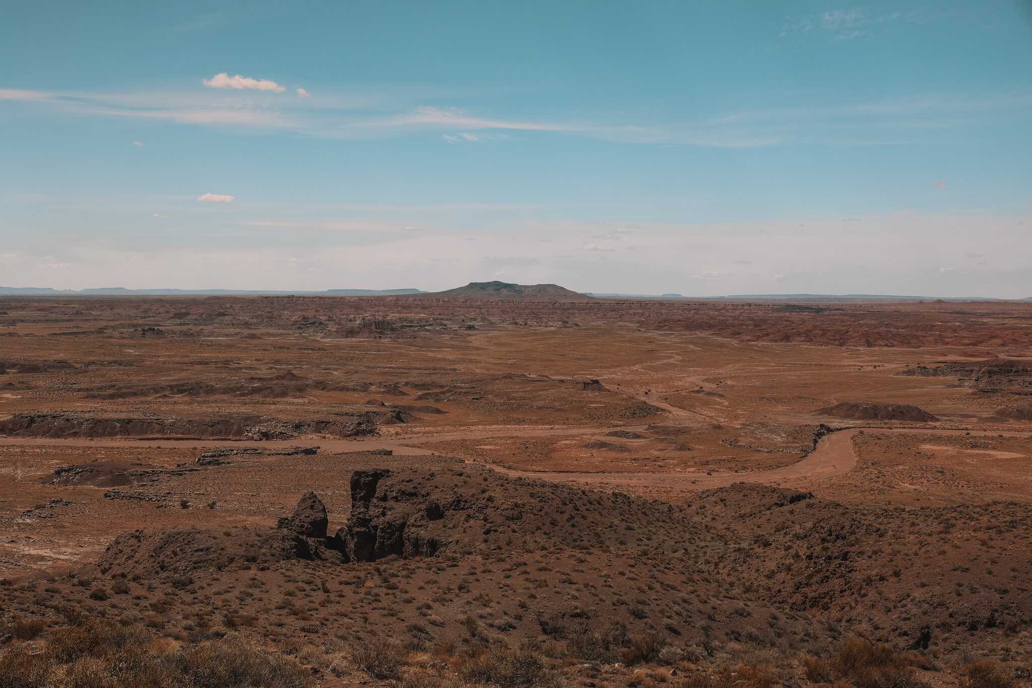 Petrified Forest, Arizona