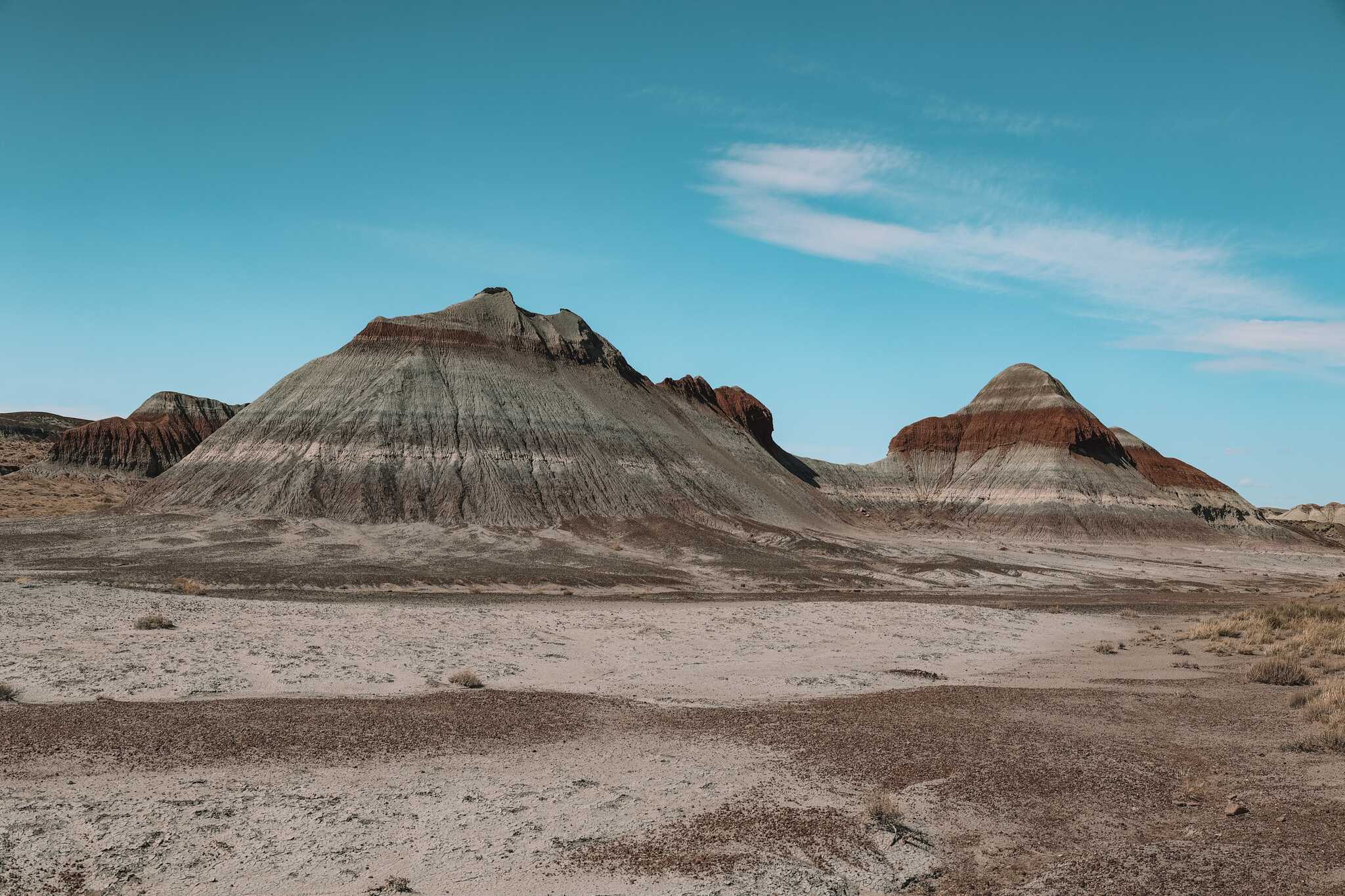 Petrified Forest, Arizona