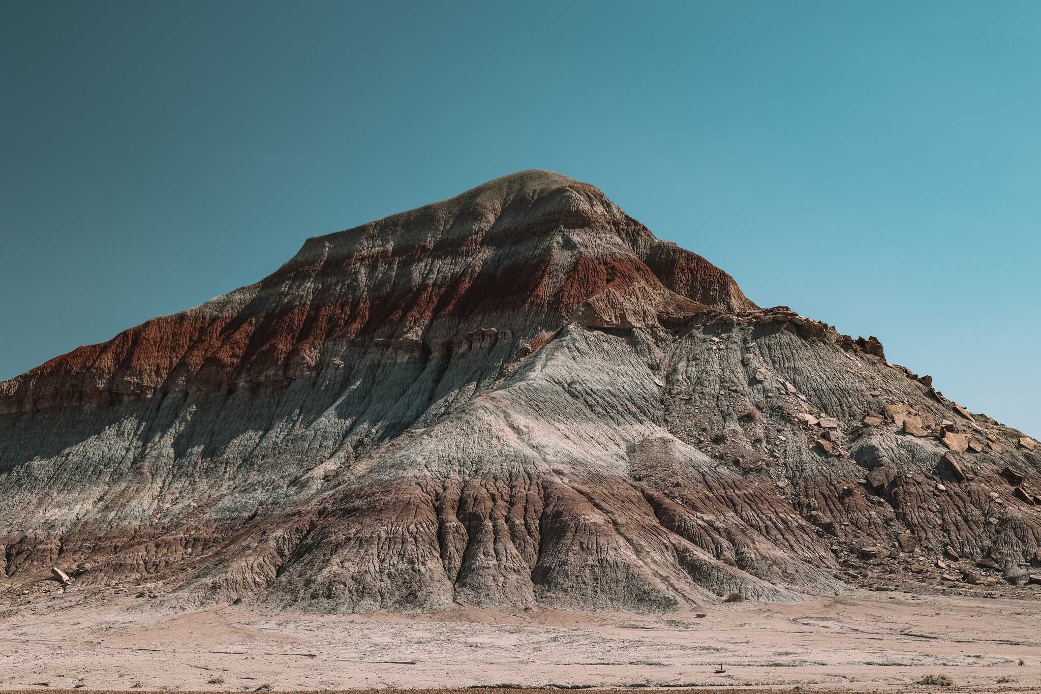 Petrified Forest, Arizona