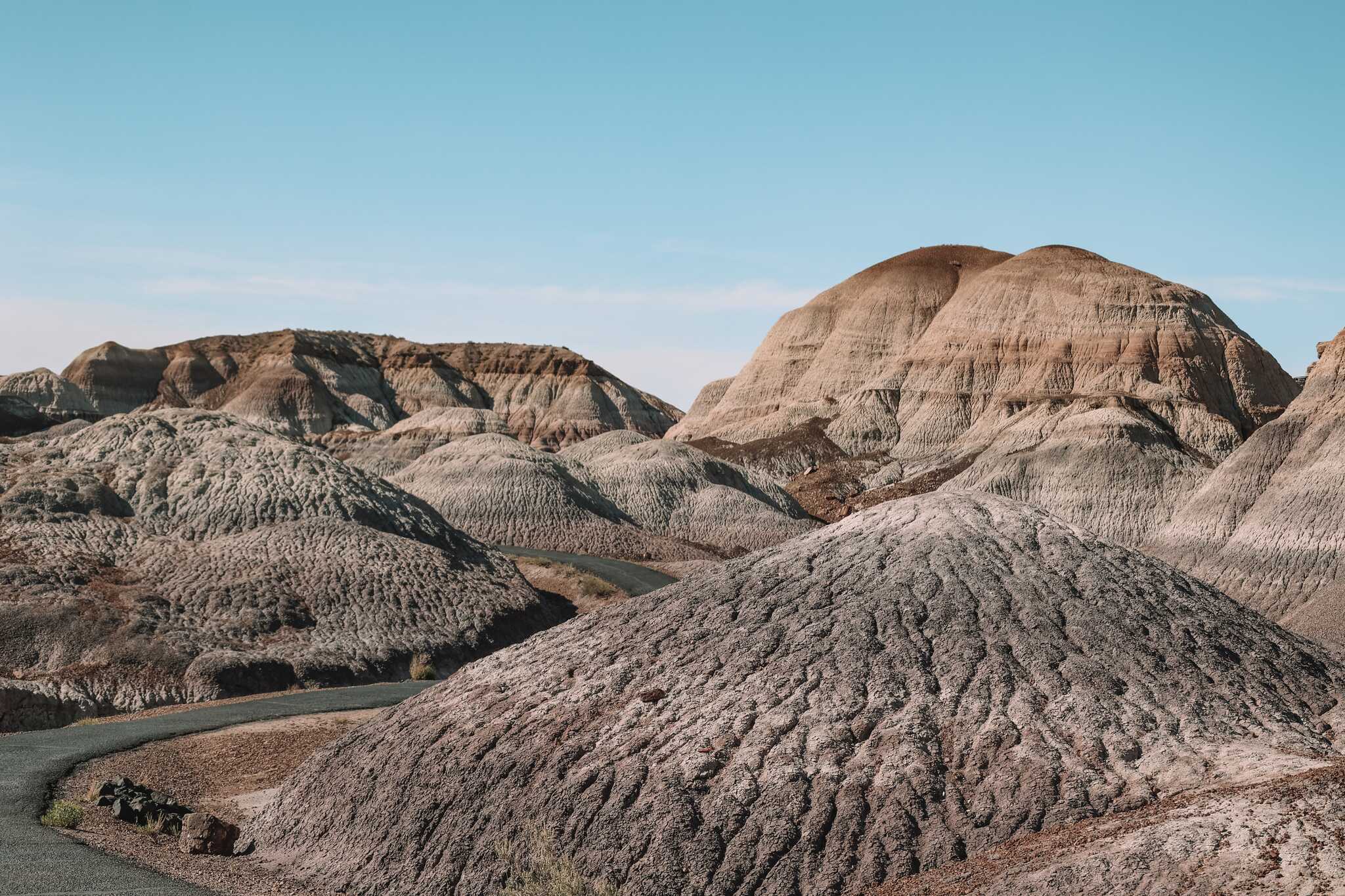 Petrified Forest, Arizona