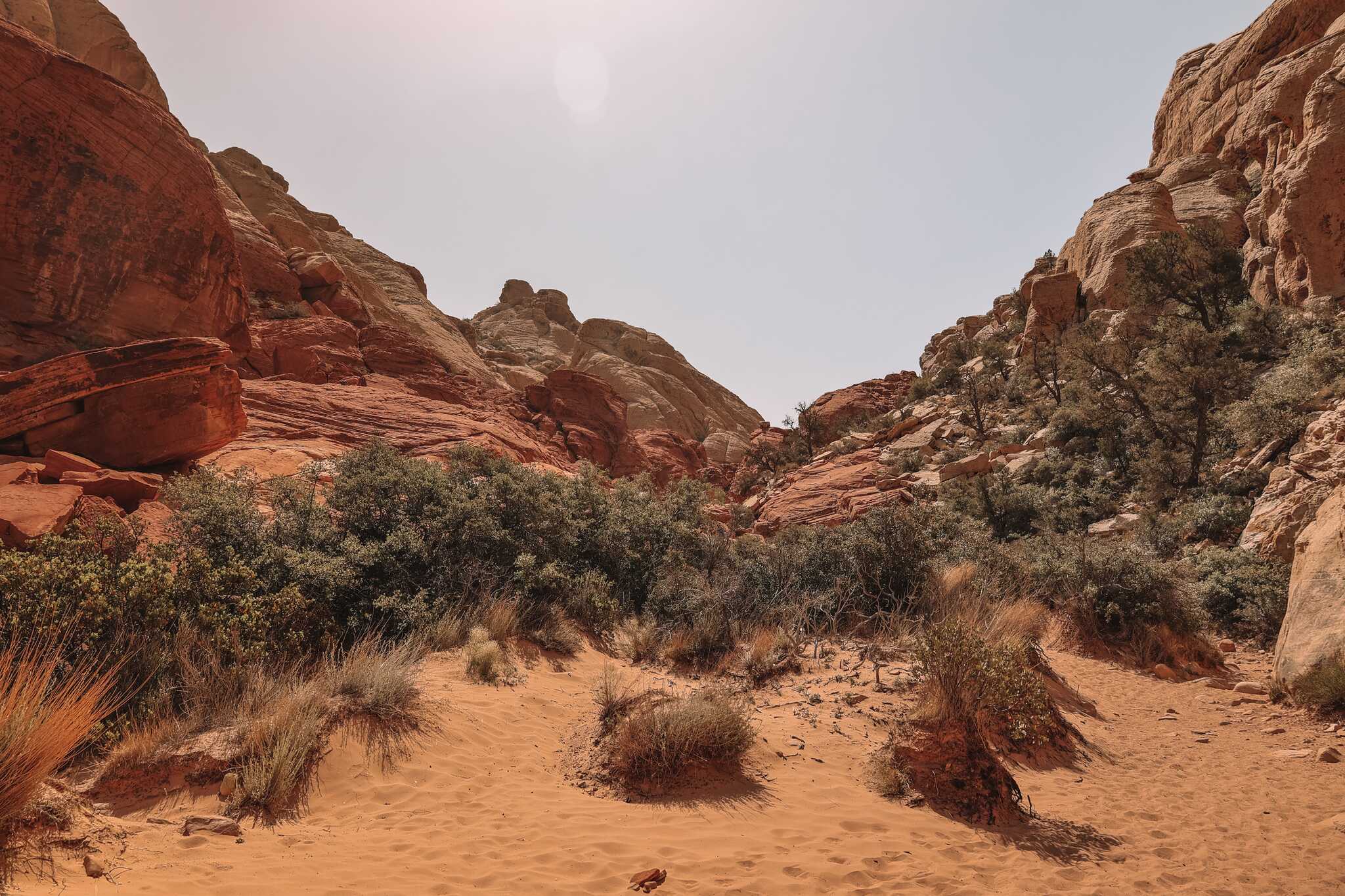 Red Rock Canyon, Nevada