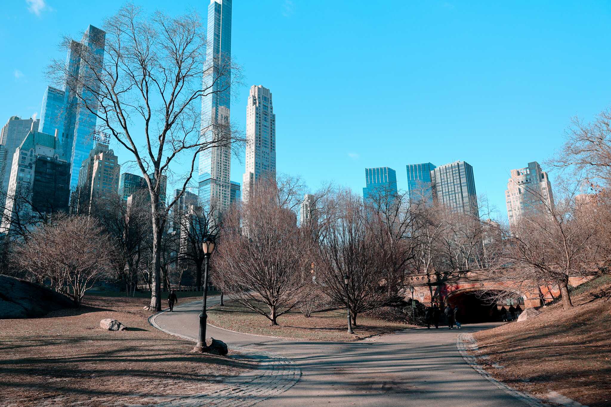 Central Park, New York
