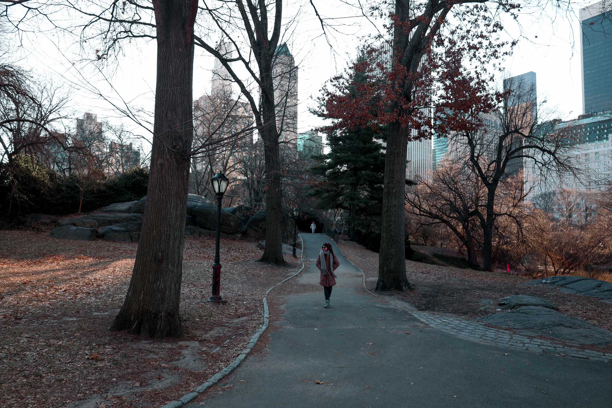 Central Park, New York