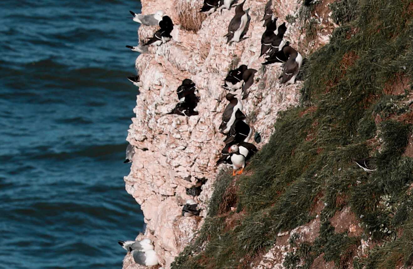 Flamborough