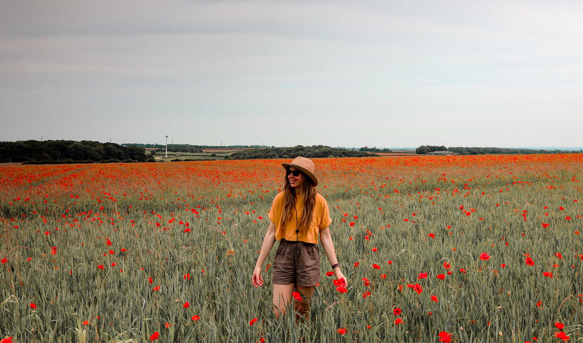 Poppy Field, Yorkshire Wolds