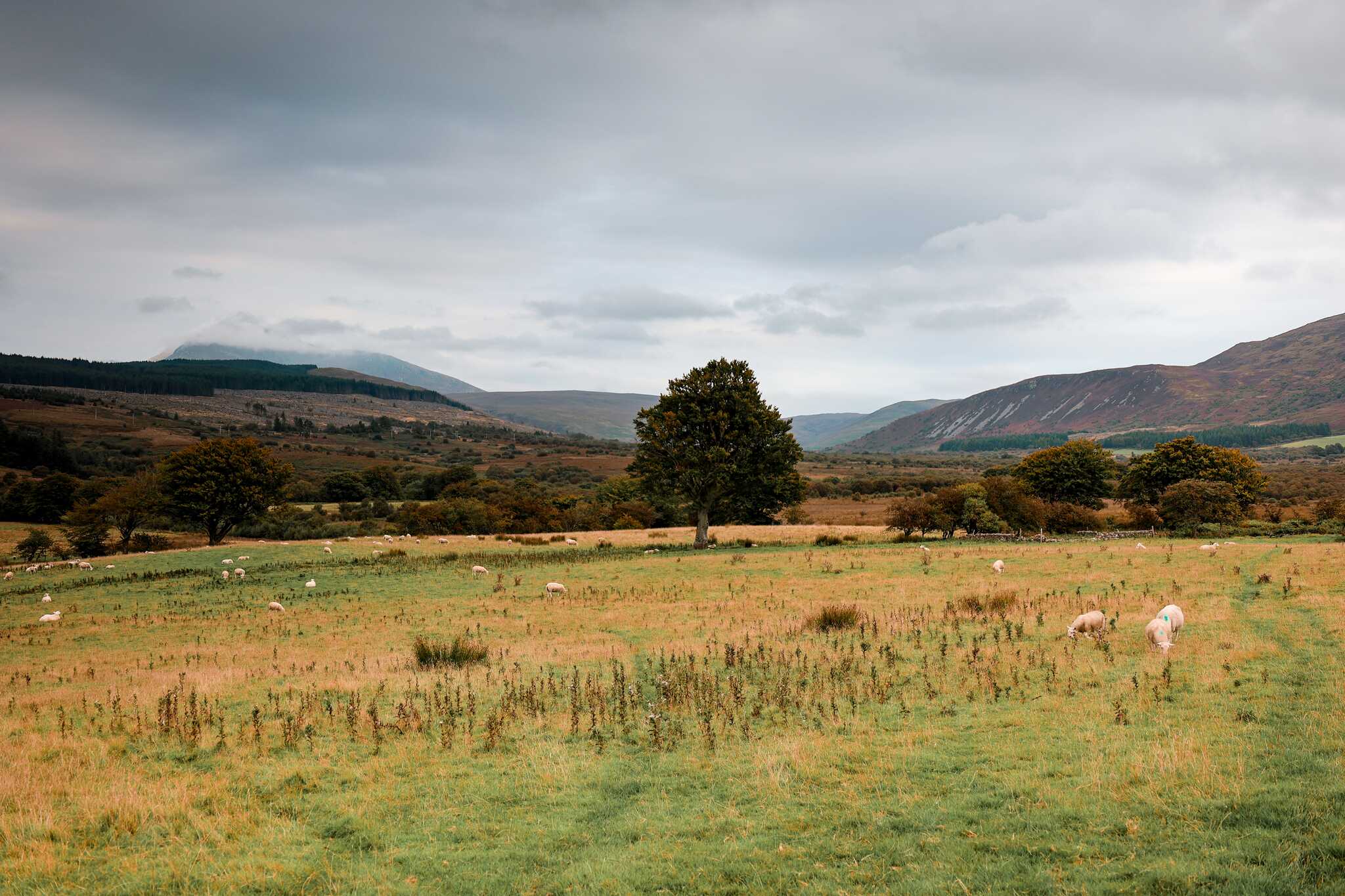 Machrie Moor, Isle of Arran, Scotland