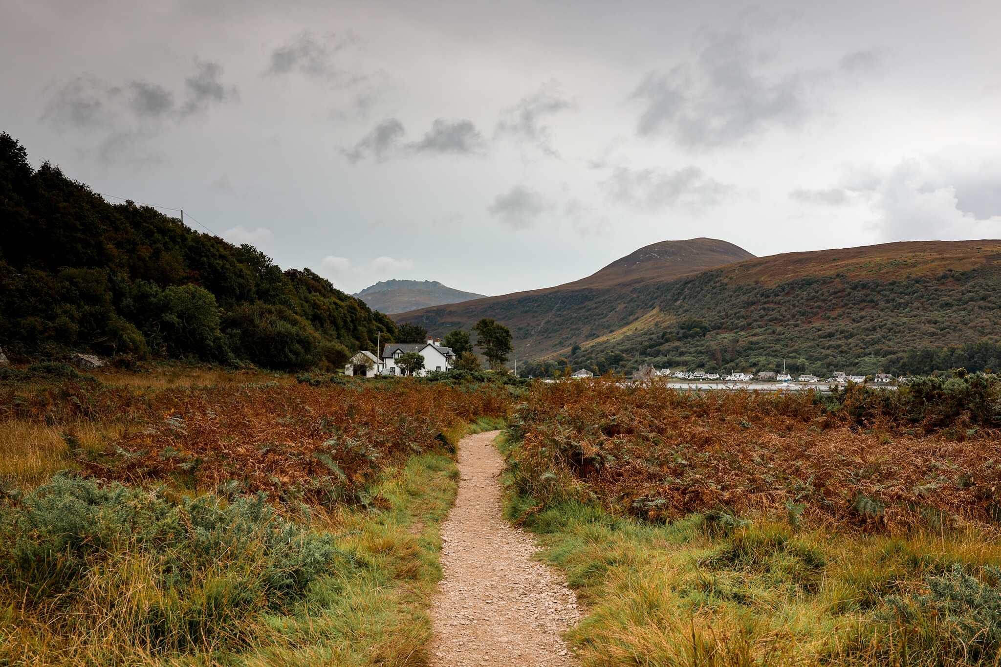Fairy Dell, Lochanza, Isle of Arran
