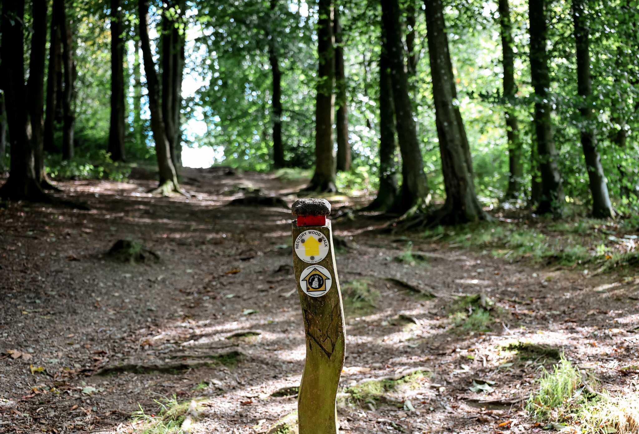 signpost