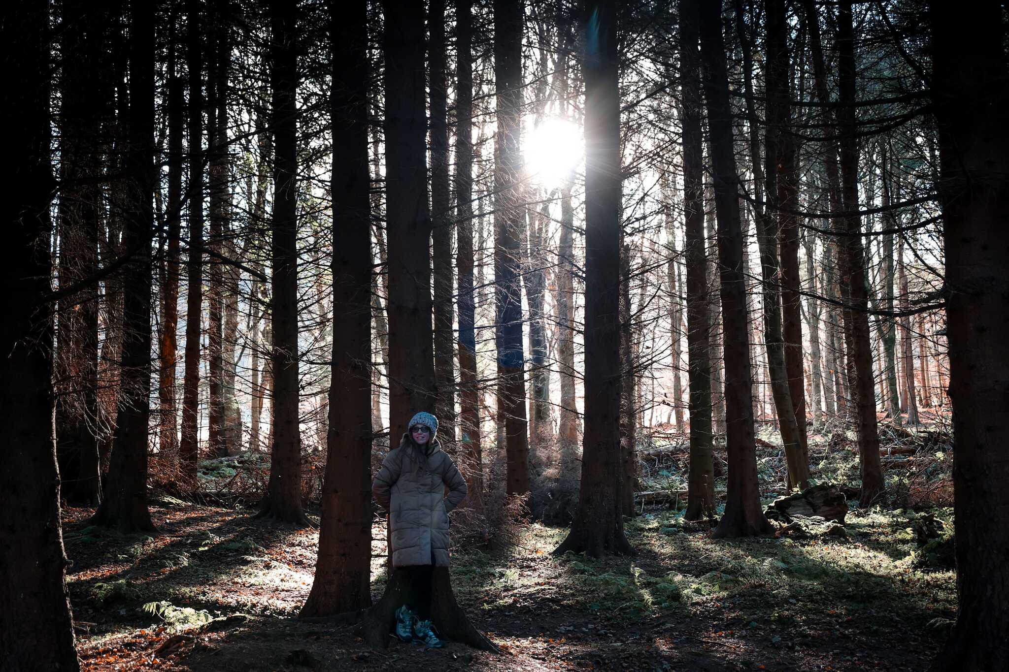 woods