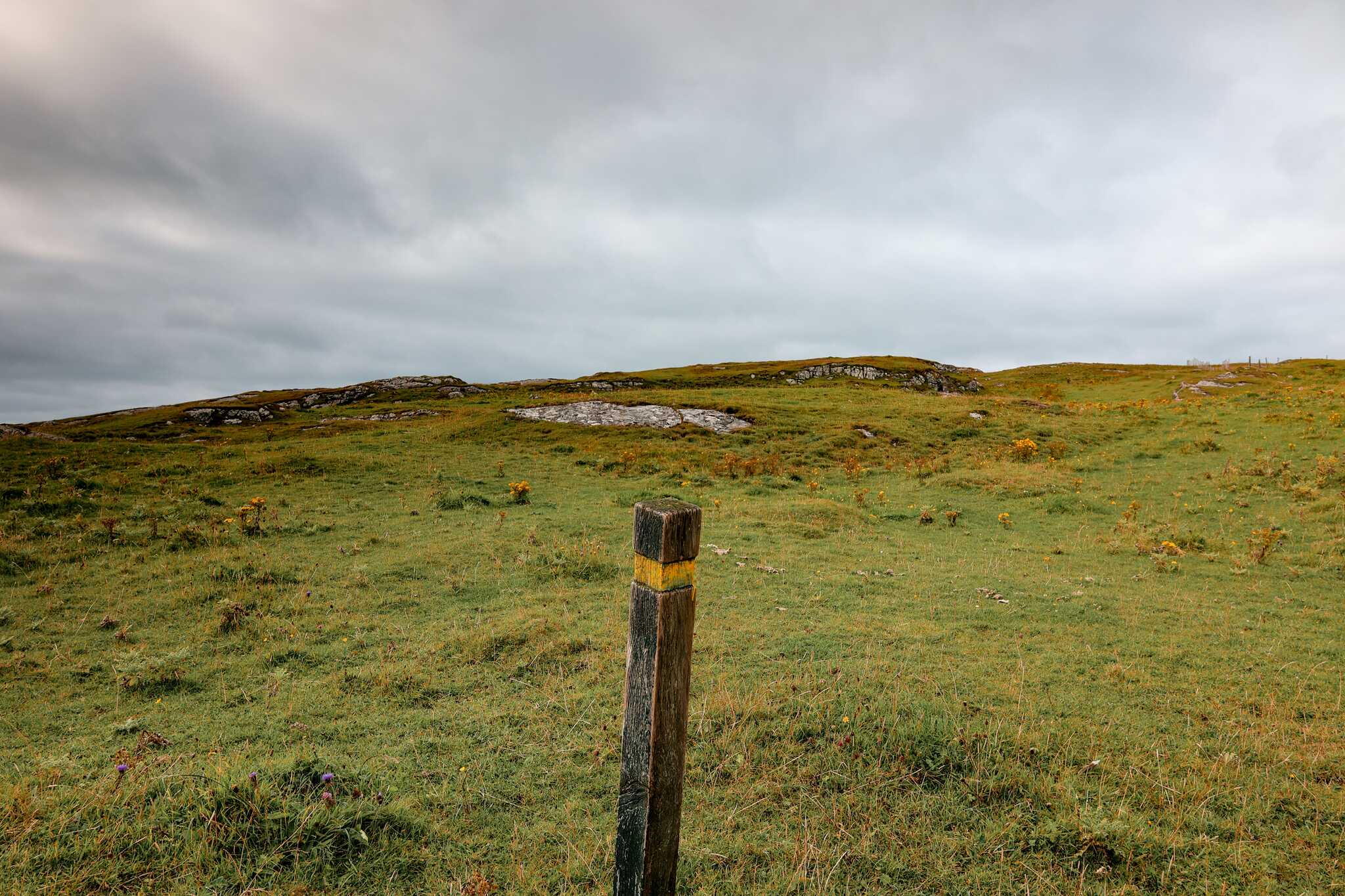 signpost