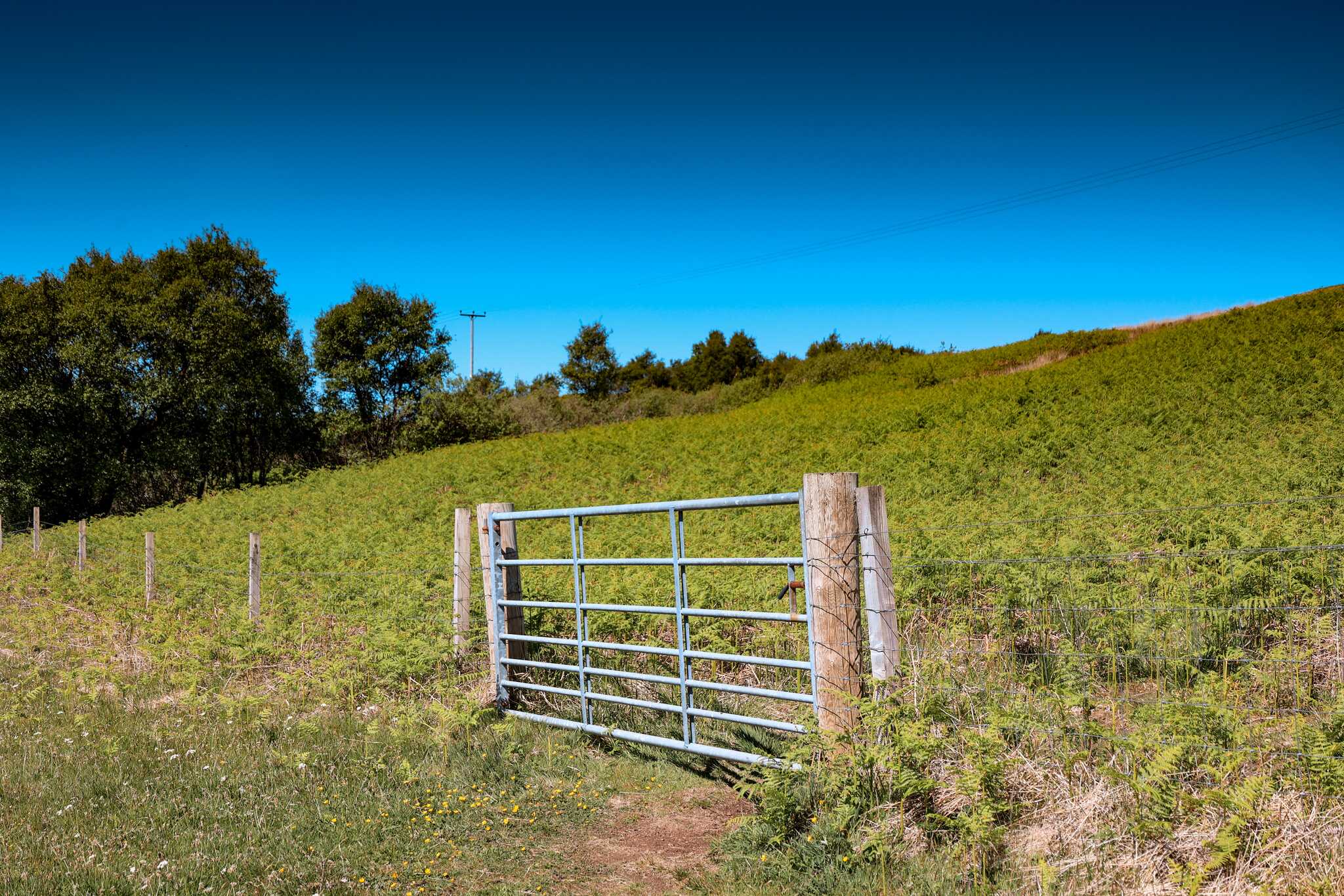 gate