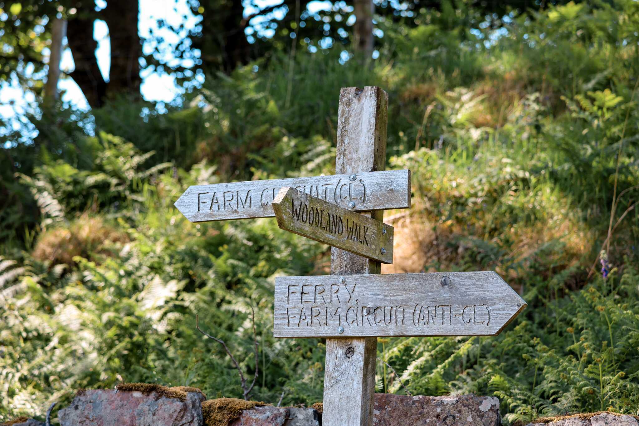 signpost