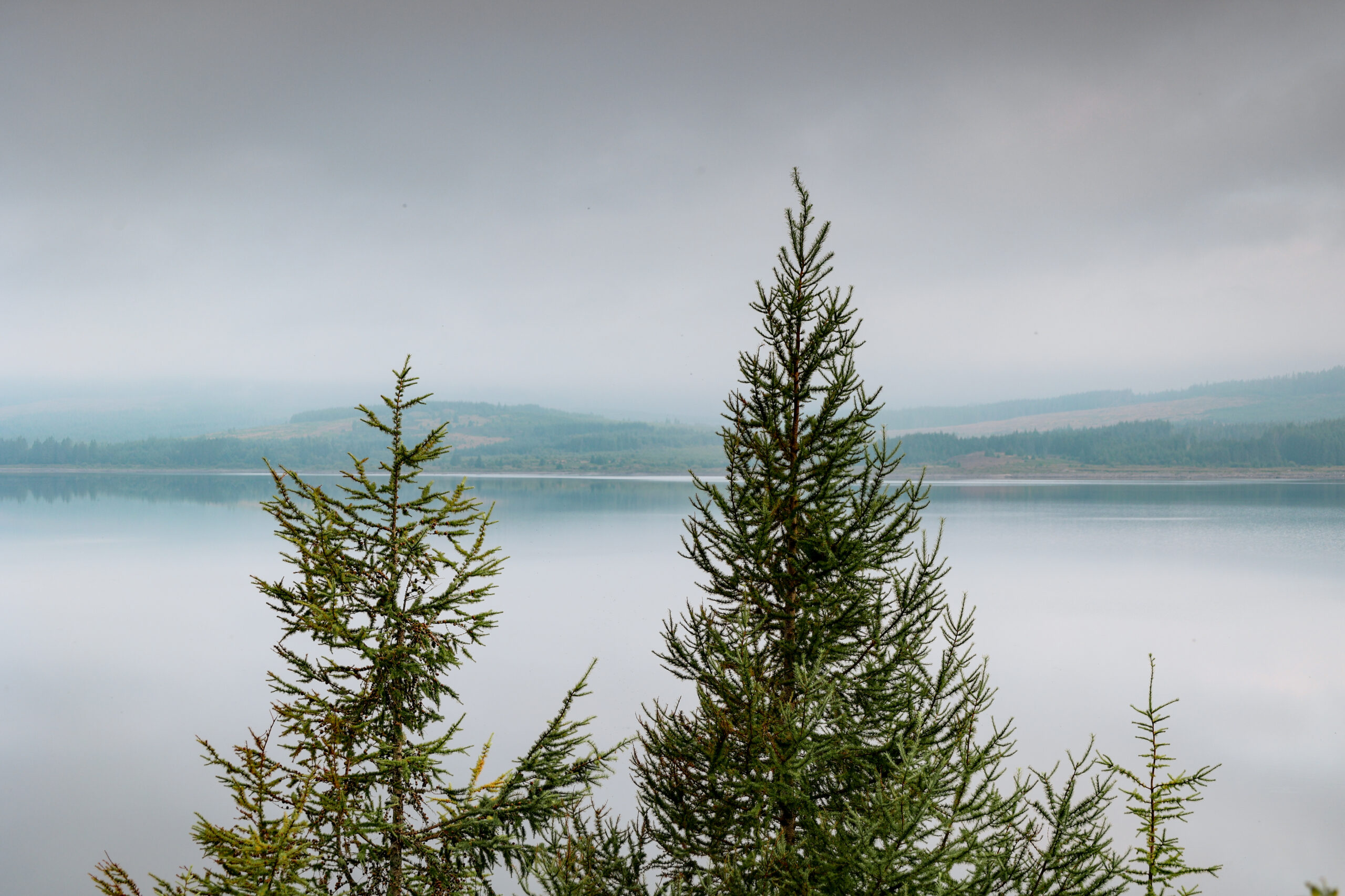 reflections over Clatteringshaws Loch in Galloway Forest Park