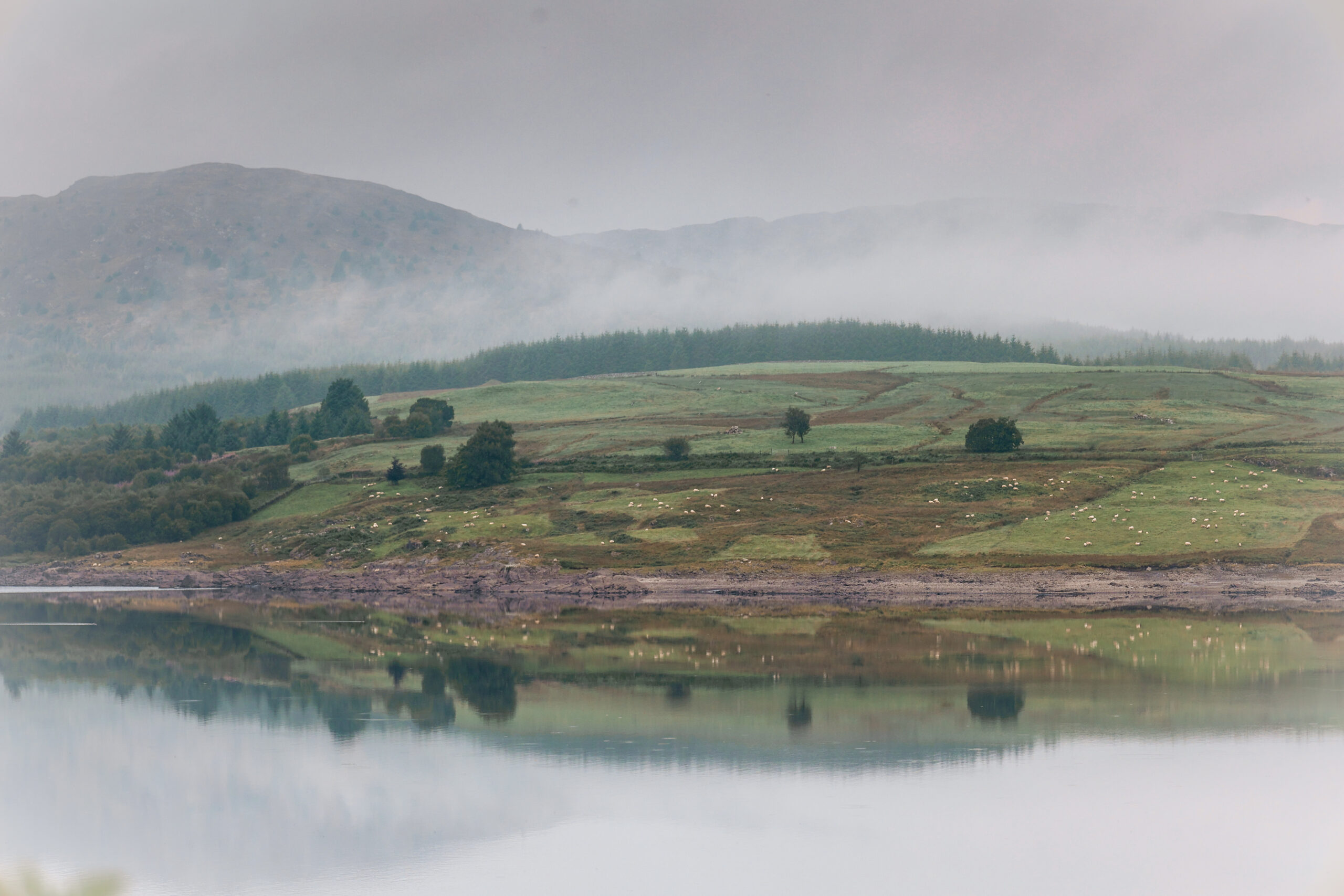 reflections over Clatteringshaws Loch in Galloway Forest Park