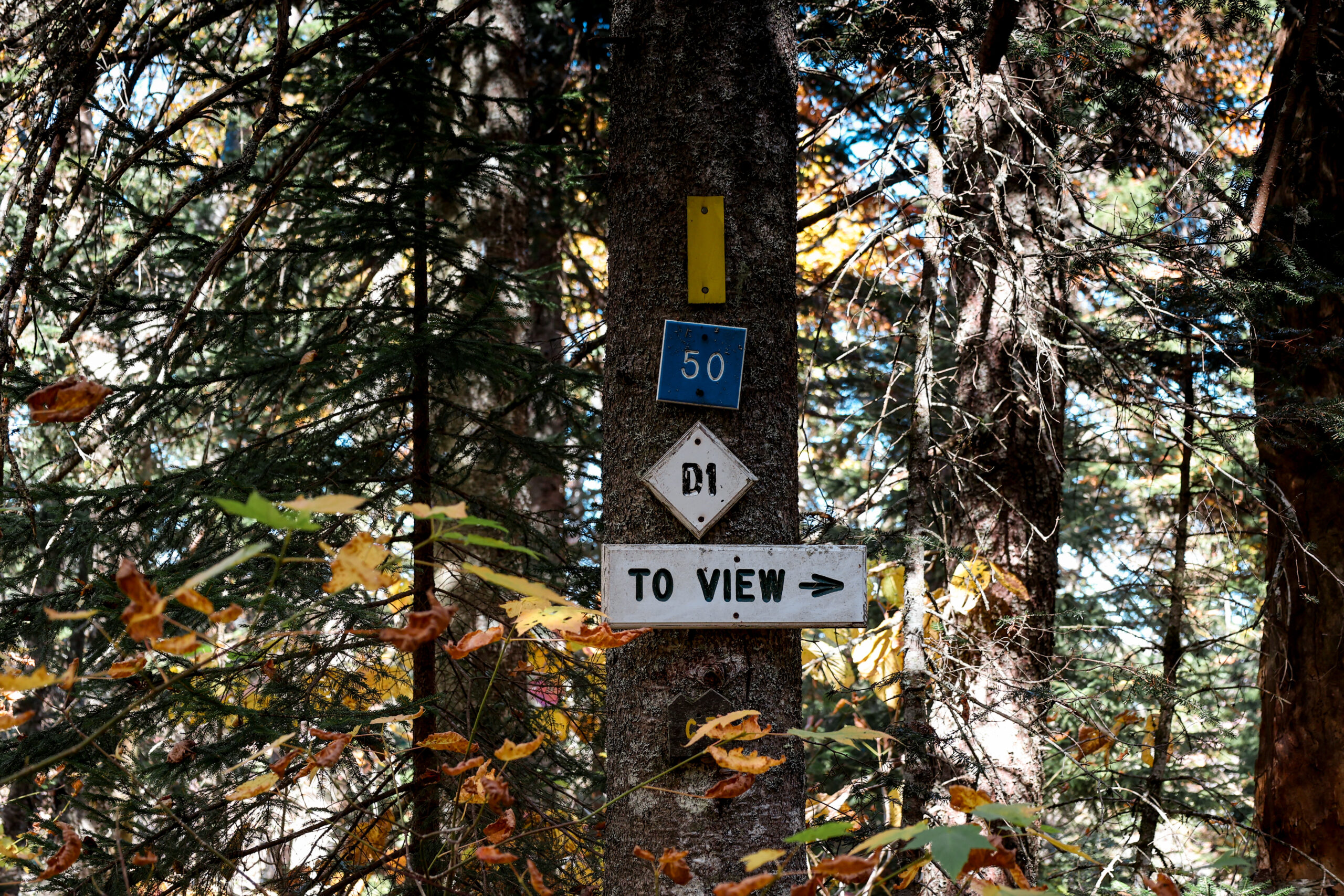 Signpost to the summit of Table Rock