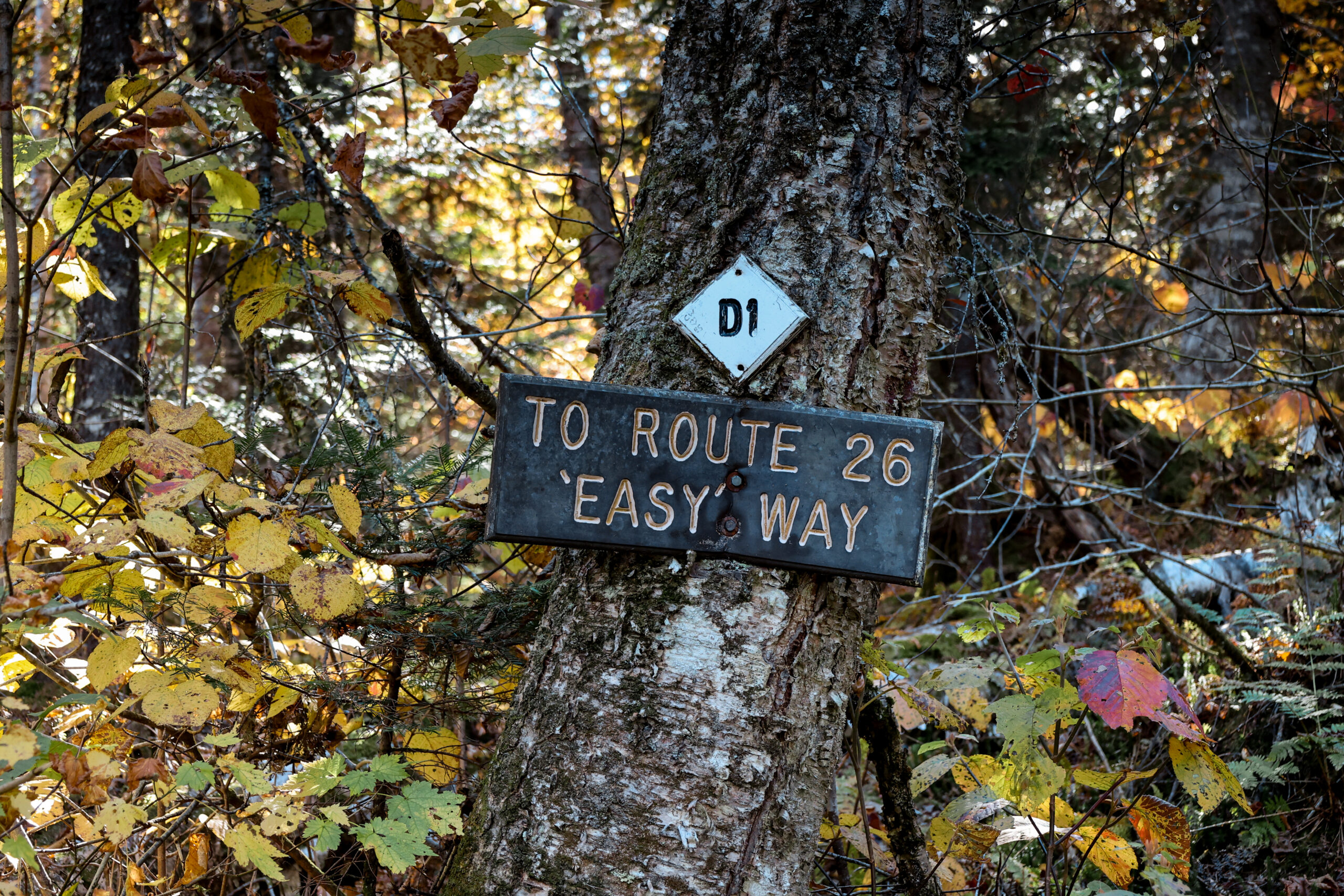 signpost leading you off the summit of Table Rock in Dixville Notch