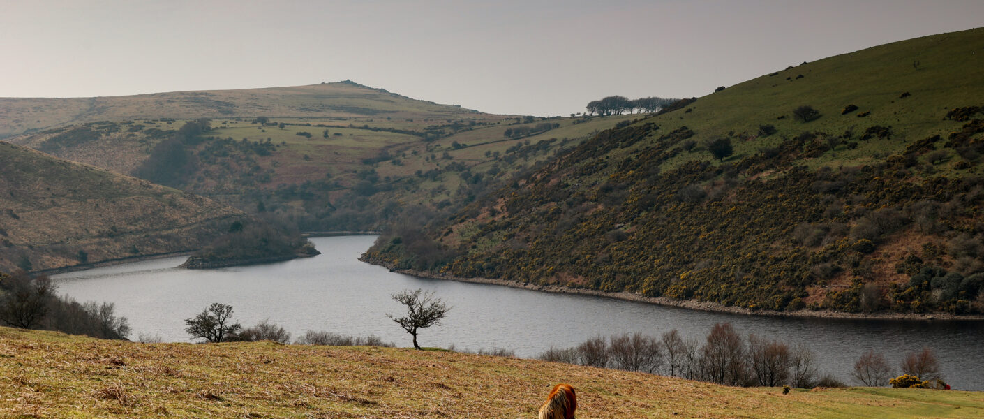 Meldon Reservoir