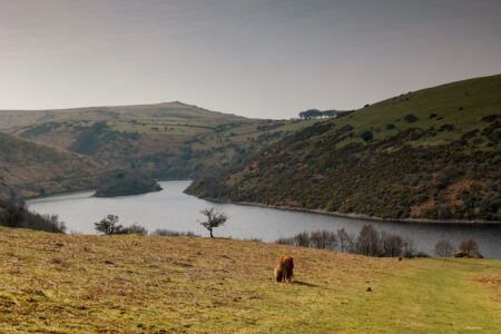 Meldon Reservoir